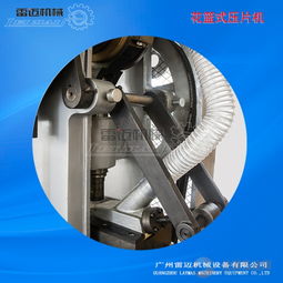 廣州雷邁機(jī)械直銷dhp型食品制藥化工雙色片花籃式壓片機(jī)