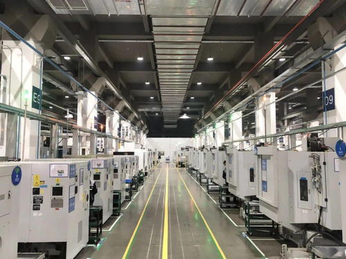 博士去當(dāng)建筑工,你是認(rèn)真的嗎